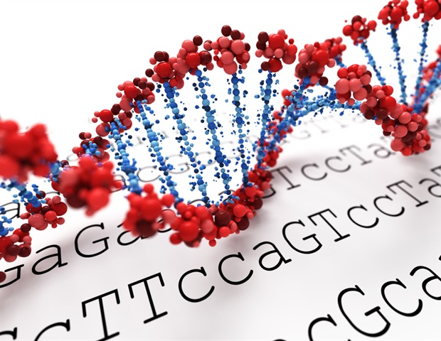 Pesquisadores da BU recebem subsídio do NIH para identificar fatores genéticos para a doença de Alzheimer